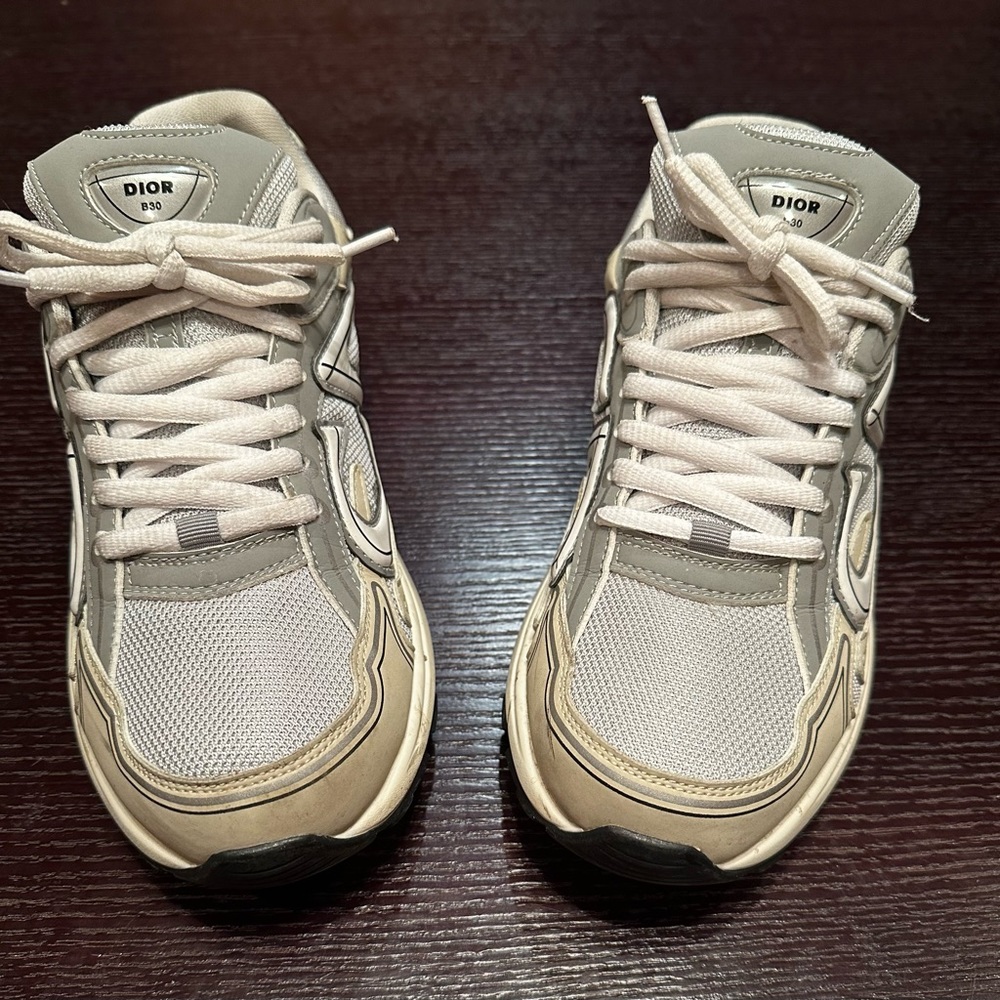 Dior B30 Sneaker Grey / White